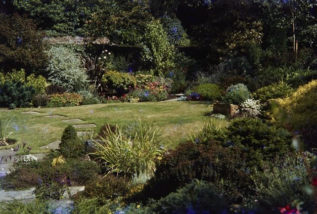 Lodge garden, Les Nièmes, St Peter, 1979